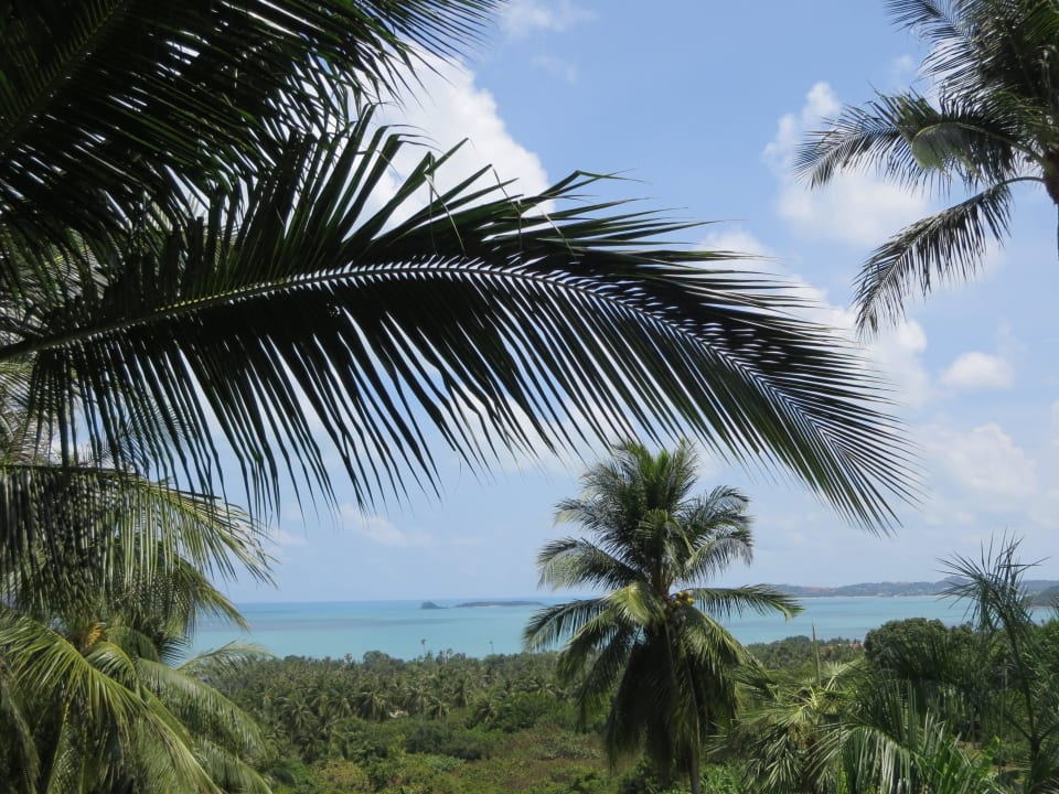 Ausblick von unserer Terrasse Mantra Samui Resort