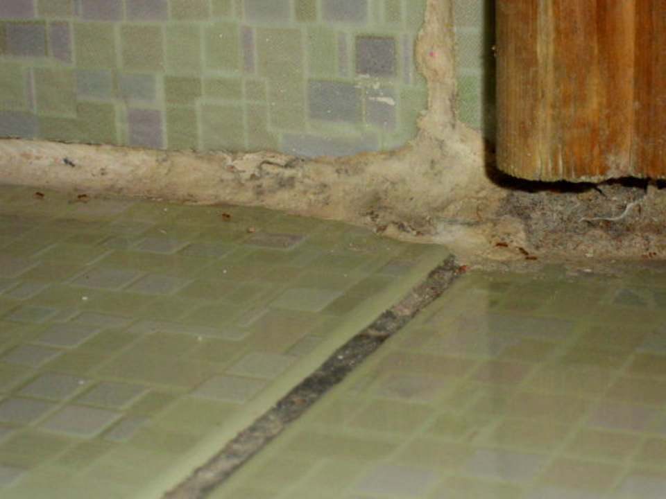 Badezimmer Ghazala Beach