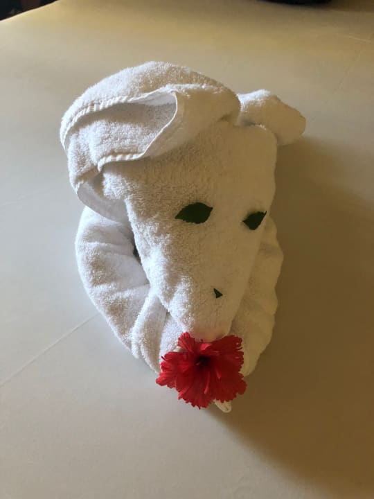 Zimmer Stella Beach Resort & Spa Makadi Bay