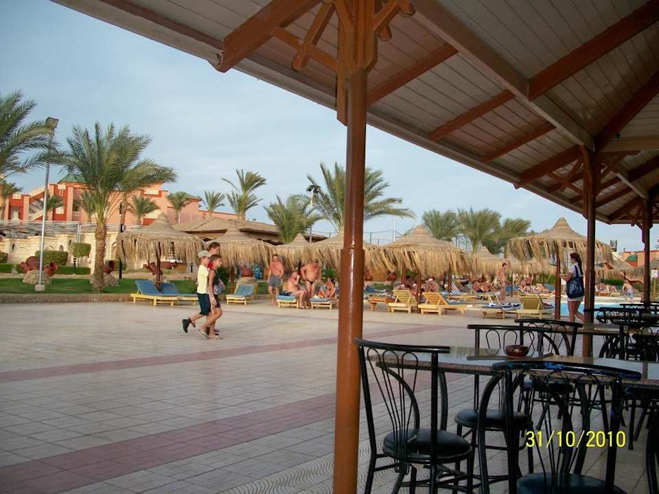 Blick zum Pool Pickalbatros Aqua Park Resort - Hurghada