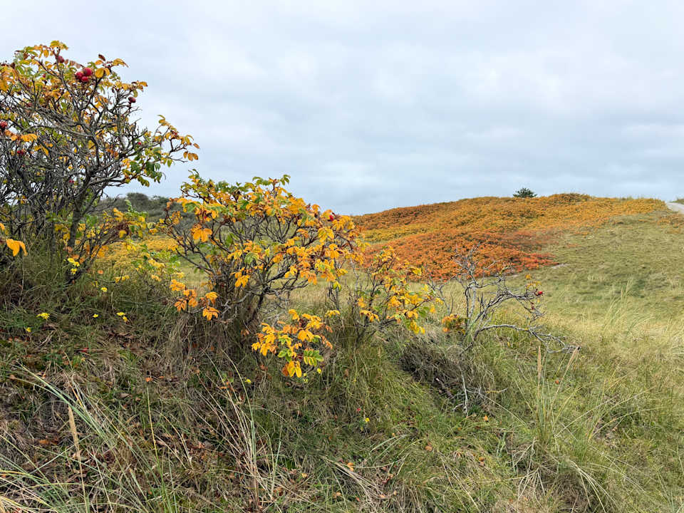 Sonstiges Hotel zur alten Inselkirche
