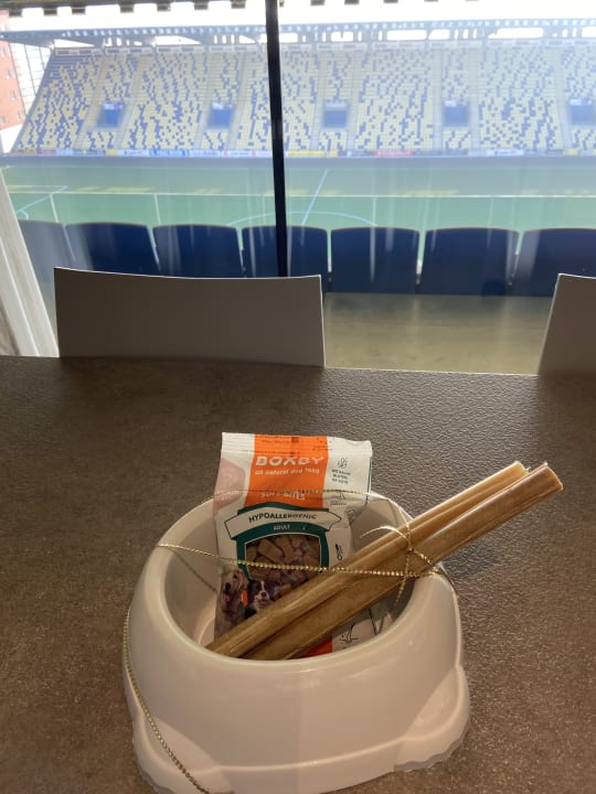 Ausblick Hotel Stayen