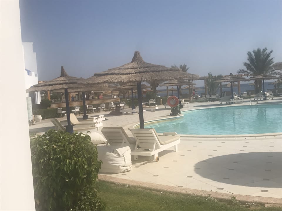 Pool Coral Sun Beach