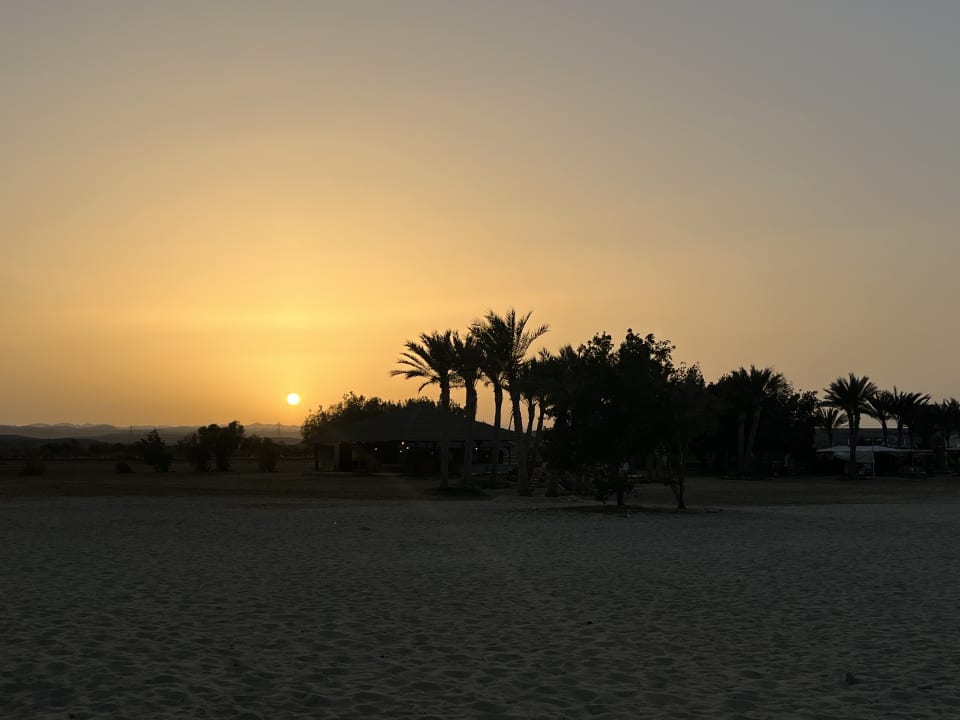 Strand Malikia Resort Abu Dabbab