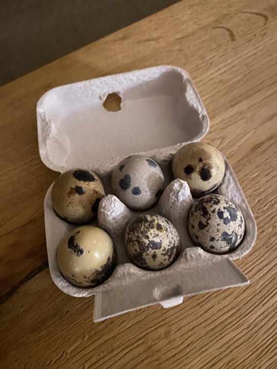 Gastro Drittlhof - Urlaub am Bio-Bauernhof