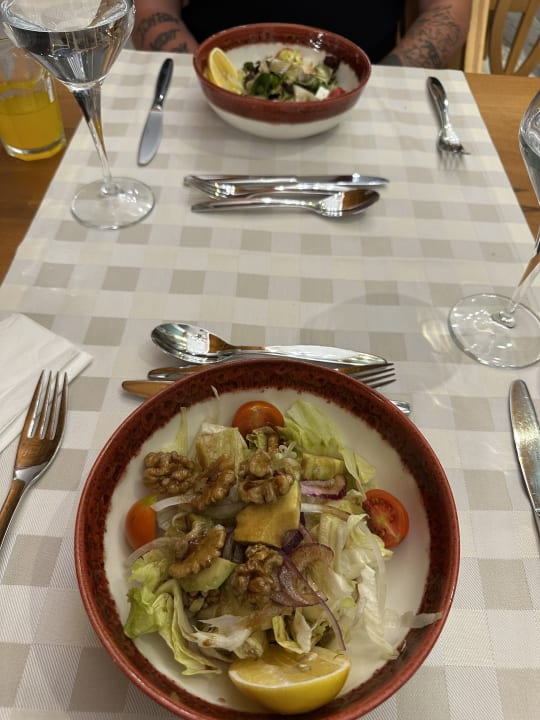 Gastro Seashell Vega