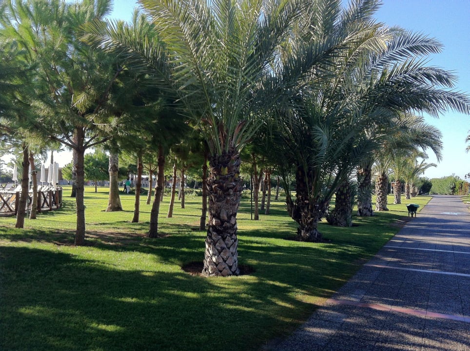 Weg durch die wunderschöne Gartenanlage Voyage Belek Golf & Spa