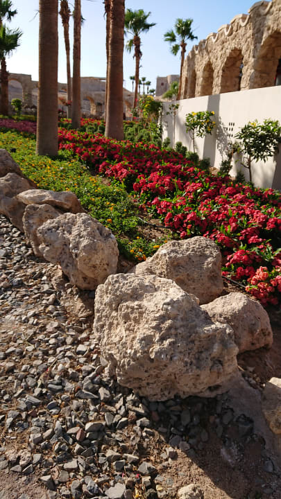 Gartenanlage Pickalbatros Citadel Resort