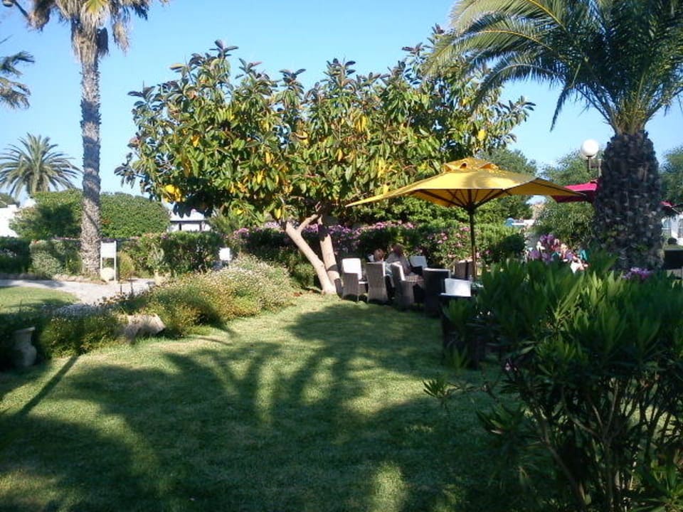 Lauschiger Platz The Orangers Beach Resort and Bungalows