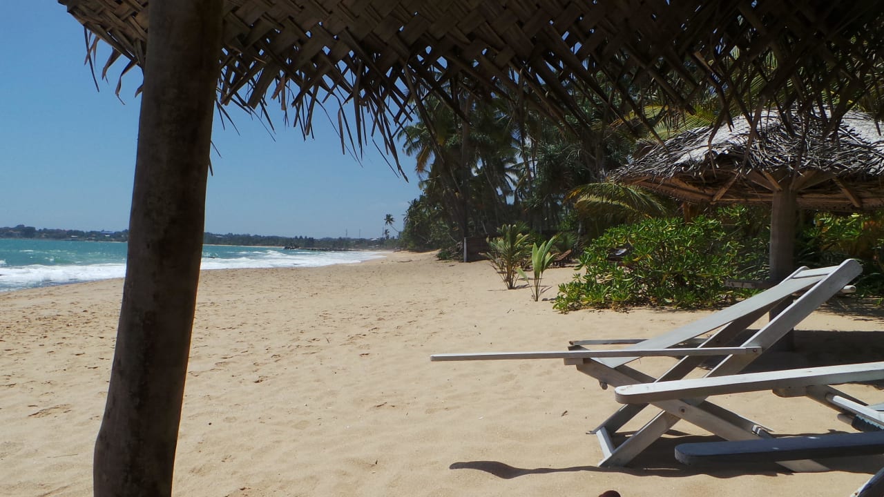 Der Kilometerlange fast menschenleere Strand Ibis Guesthouse