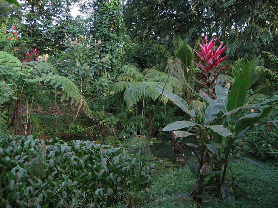 Gartenteich Hostel Cascada Verde