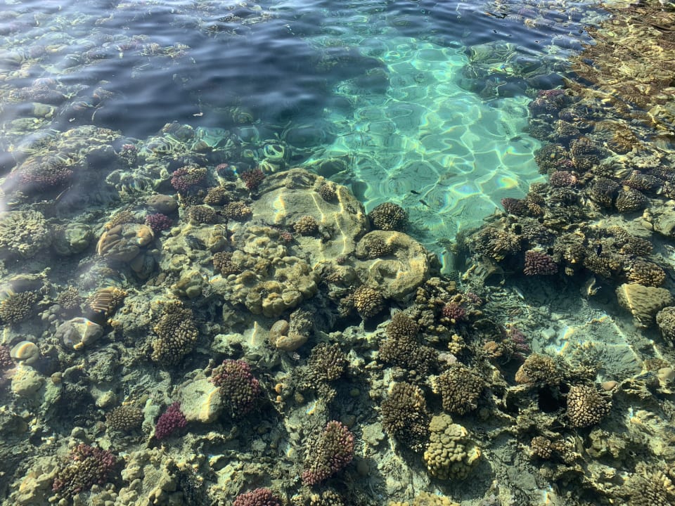 Strand Steigenberger Coraya Beach - Adults only