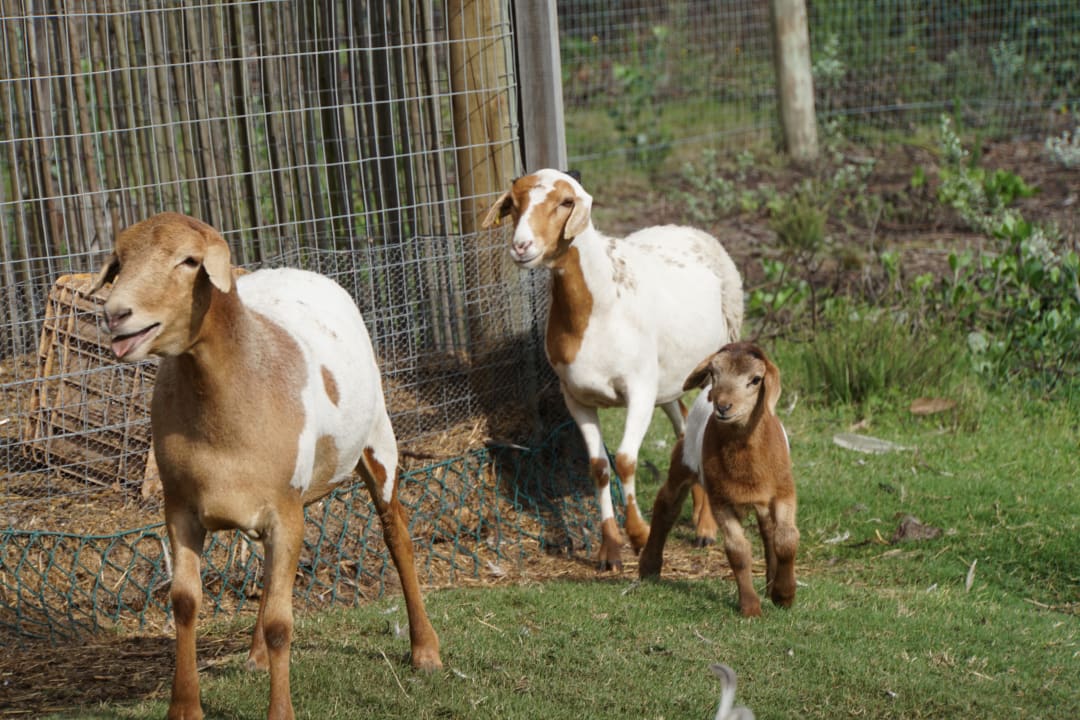 Sonstiges Hotel Tamodi Lodge