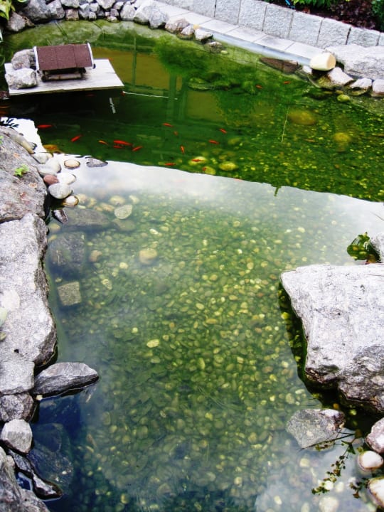 Gartenanlage Hotel Pension Obergfell