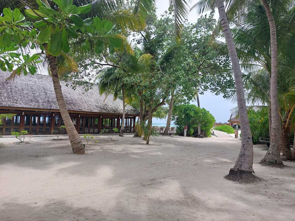Außenansicht Vilamendhoo Island Resort & Spa