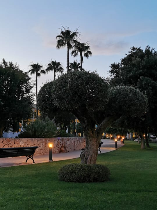 Gartenanlage CM Mallorca Palace - Adults Only