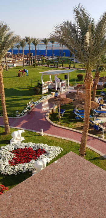 Ausblick Pickalbatros Palace Resort