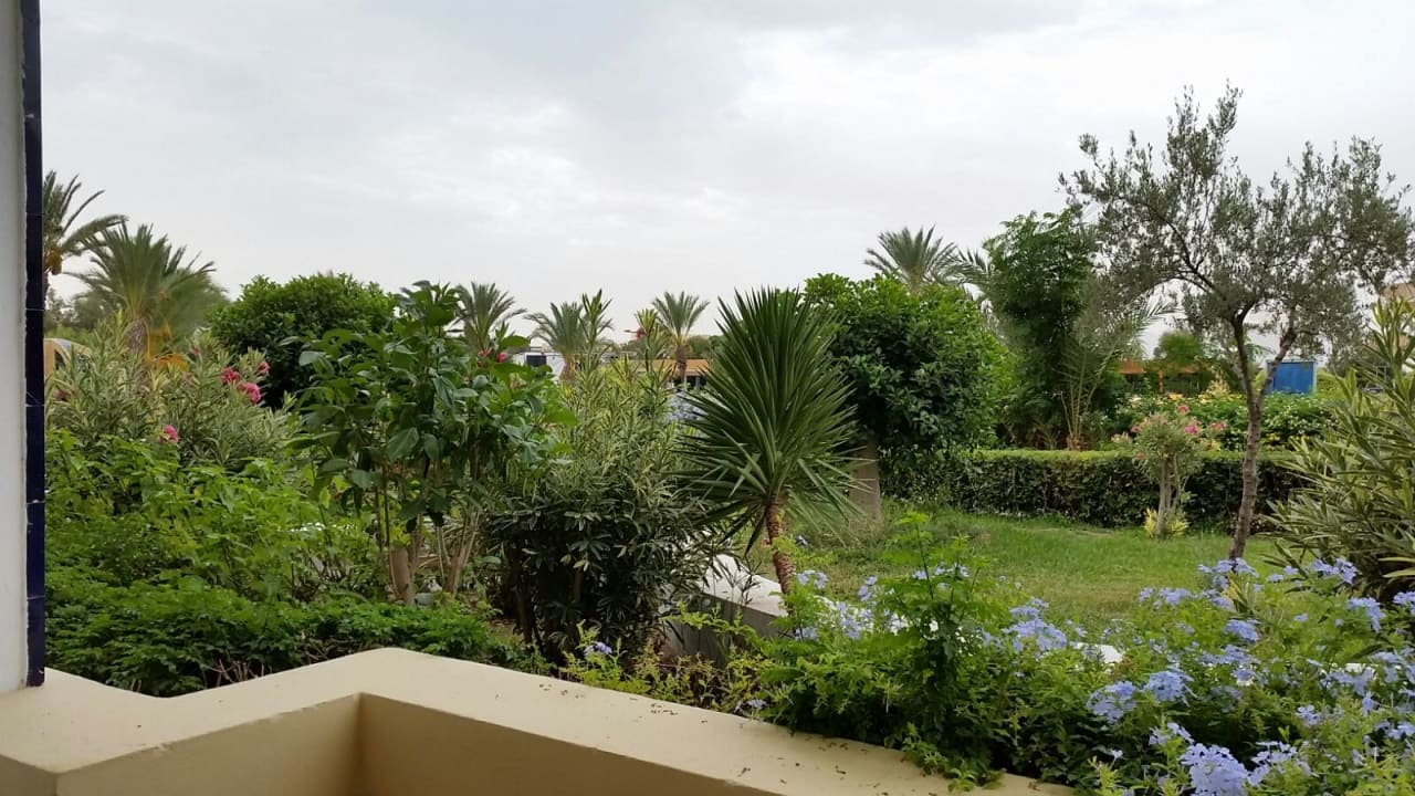 Gartenanlage Hotel Medina Belisaire & Thalasso