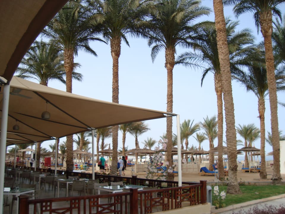 Strand Beach Albatros Resort