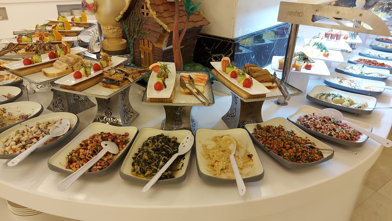Gastro Adalya Elite Lara