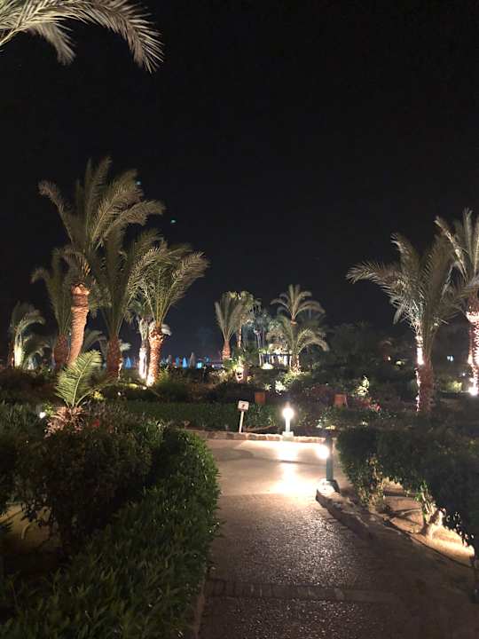 Gartenanlage Mövenpick Resort & Spa El Gouna