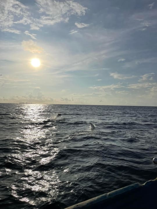 Ausblick NH Collection Maldives Reethi Resort