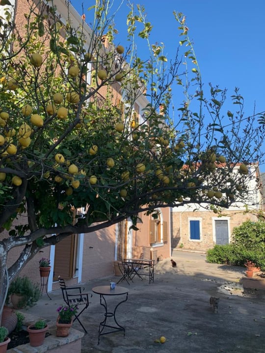 Gartenanlage Pension Hirolakas