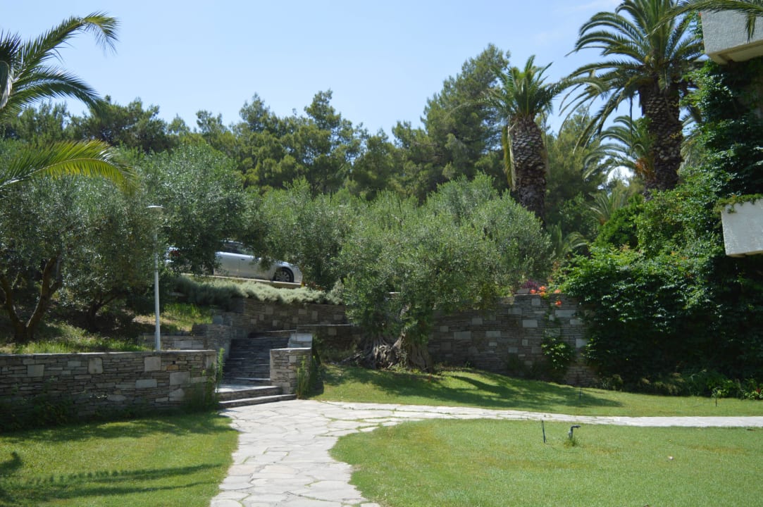 Alejki Hotel Athos Palace