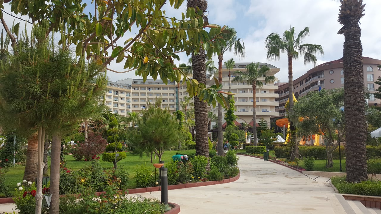 Außenansicht Saphir Resort & Spa