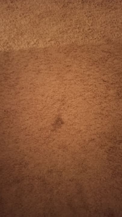 Zimmer Hotel Sineva Beach