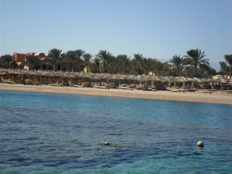 Blick auf den Strand Jaz Makadi Oasis Resort