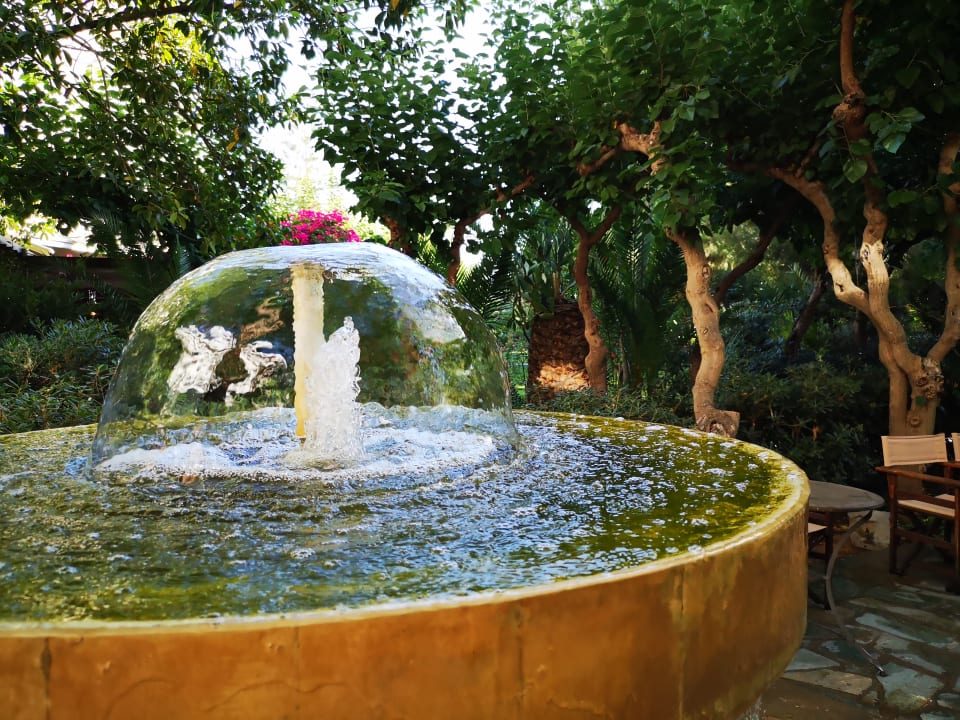 Gartenanlage Apollonia Beach Resort & Spa