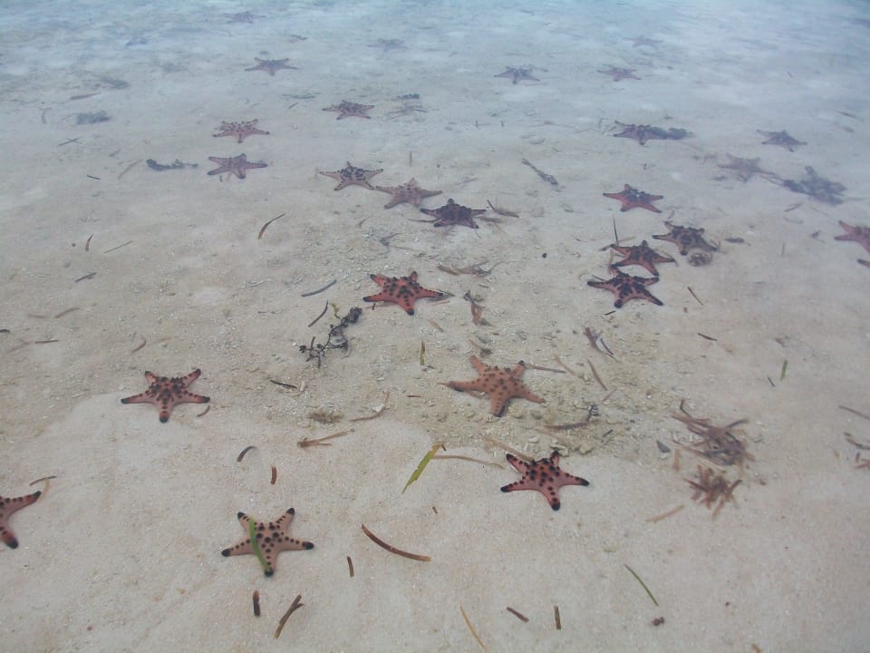 Strand Lingganay Boracay Resort