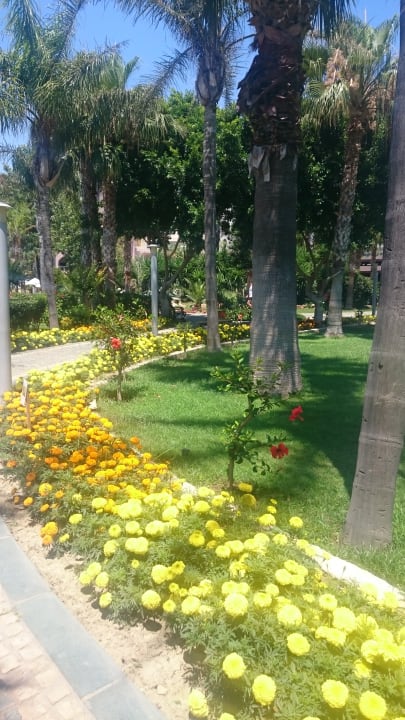 Gartenanlage Arycanda Kirman Premium