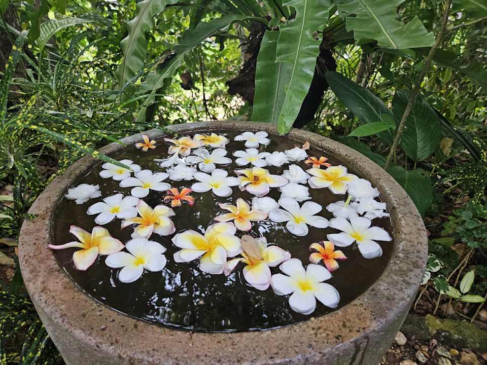 Gartenanlage Khaolak Paradise Resort