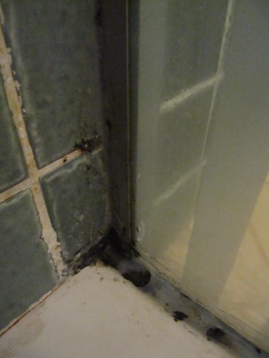 Schimmel in der Dusche! Lecker! Dawar El Omda - Adults only  (Im Umbau/Renovierung)