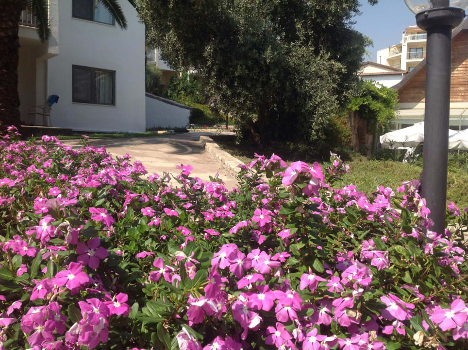 Ein kleines Paradies in der Betonlandschaft Arum Barut Collection