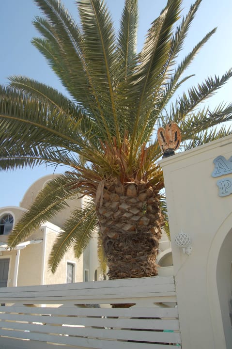 Palme Apartments Athanasia