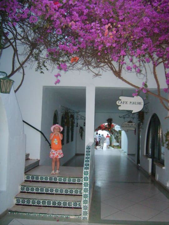 Blütenpracht im der Hotelzone Hotel Sangho Club Zarzis