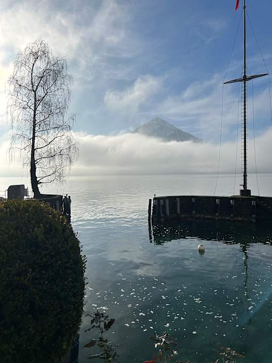 Ausblick Beatus Wellness- & Spa-Hotel