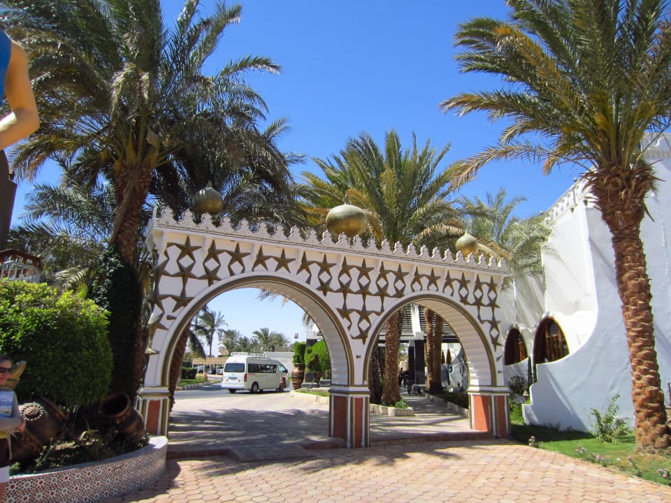 Otoczenie hotelu Aladdin Beach Resort