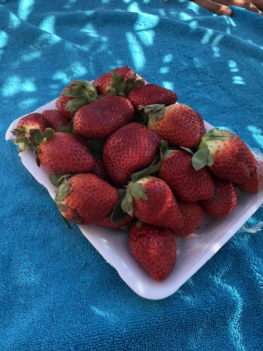 Gastro Akassia Swiss Resort