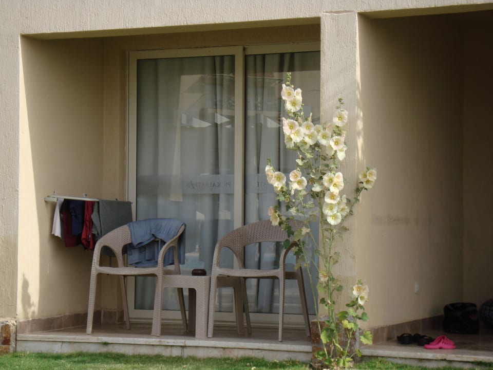 Zimmer Beach Albatros Resort