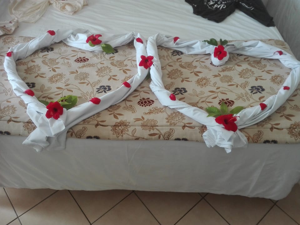 Zimmer Marhaba Royal Salem