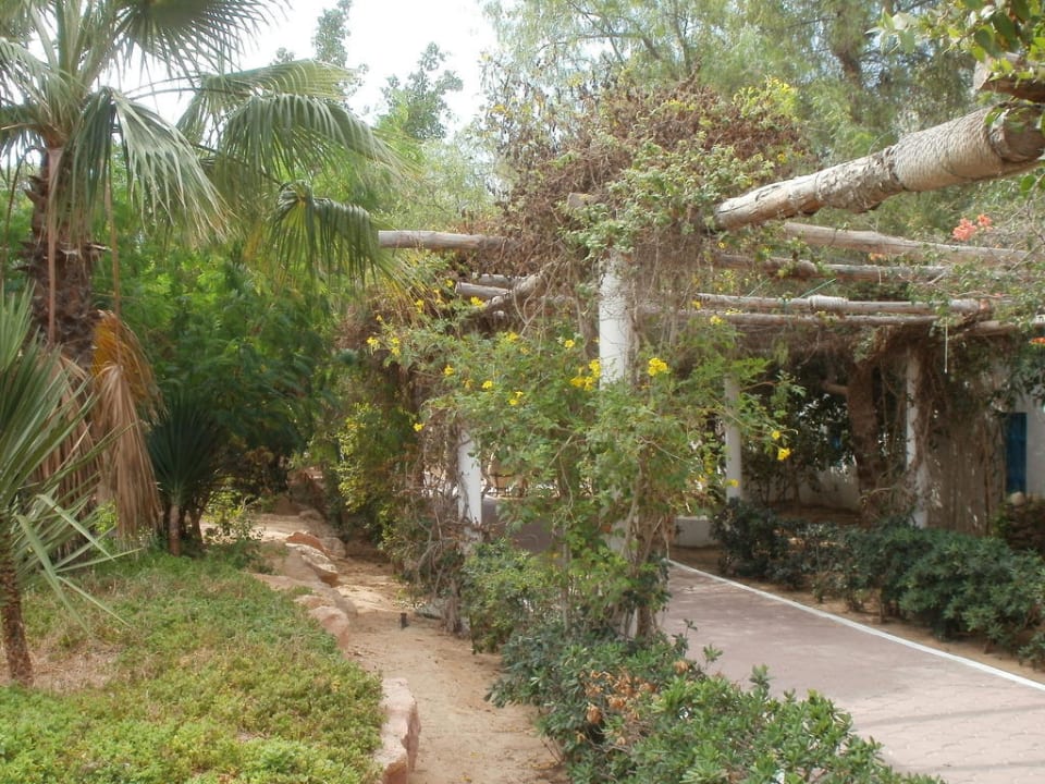 Weiterer Teil des großen Gartens Royal Karthago Djerba