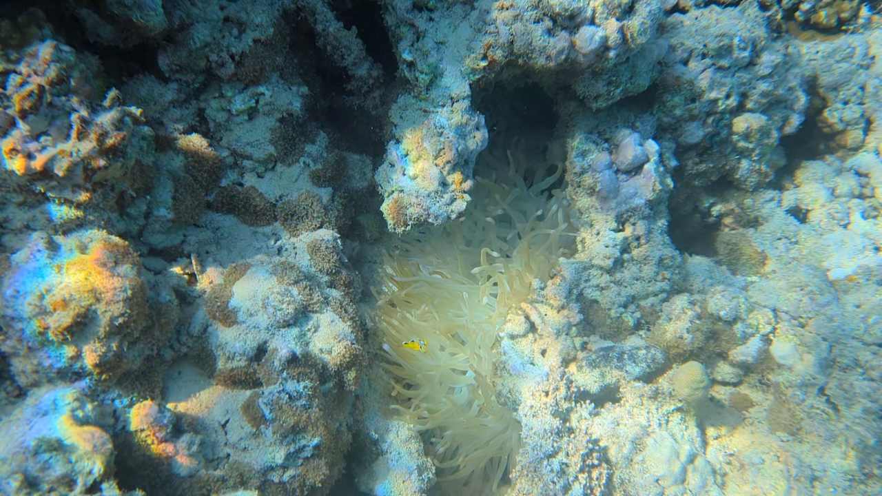 Sport & Freizeit Stella Beach Resort & Spa Makadi Bay