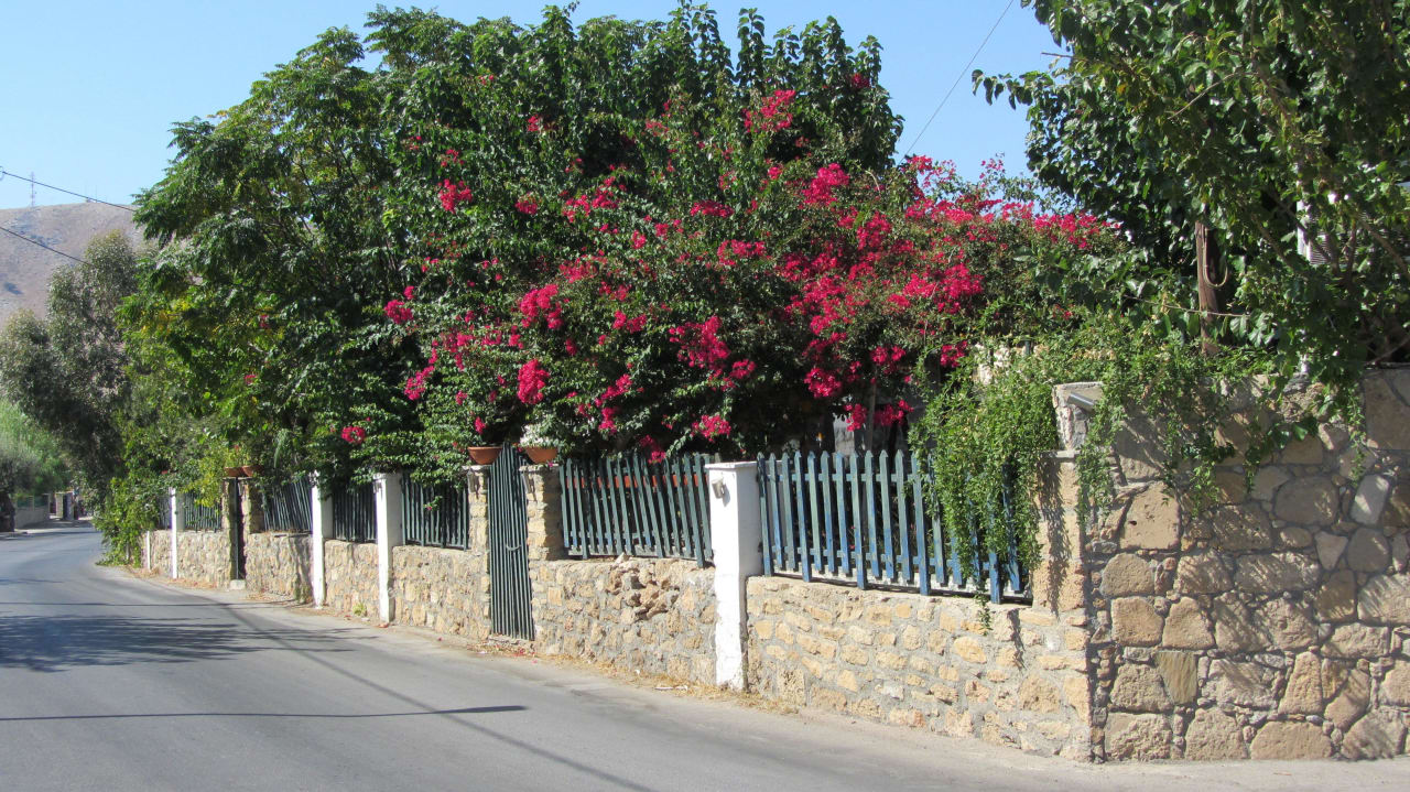 Straße am Hotel vorbei  Lindos Princess Beach Resort & Spa