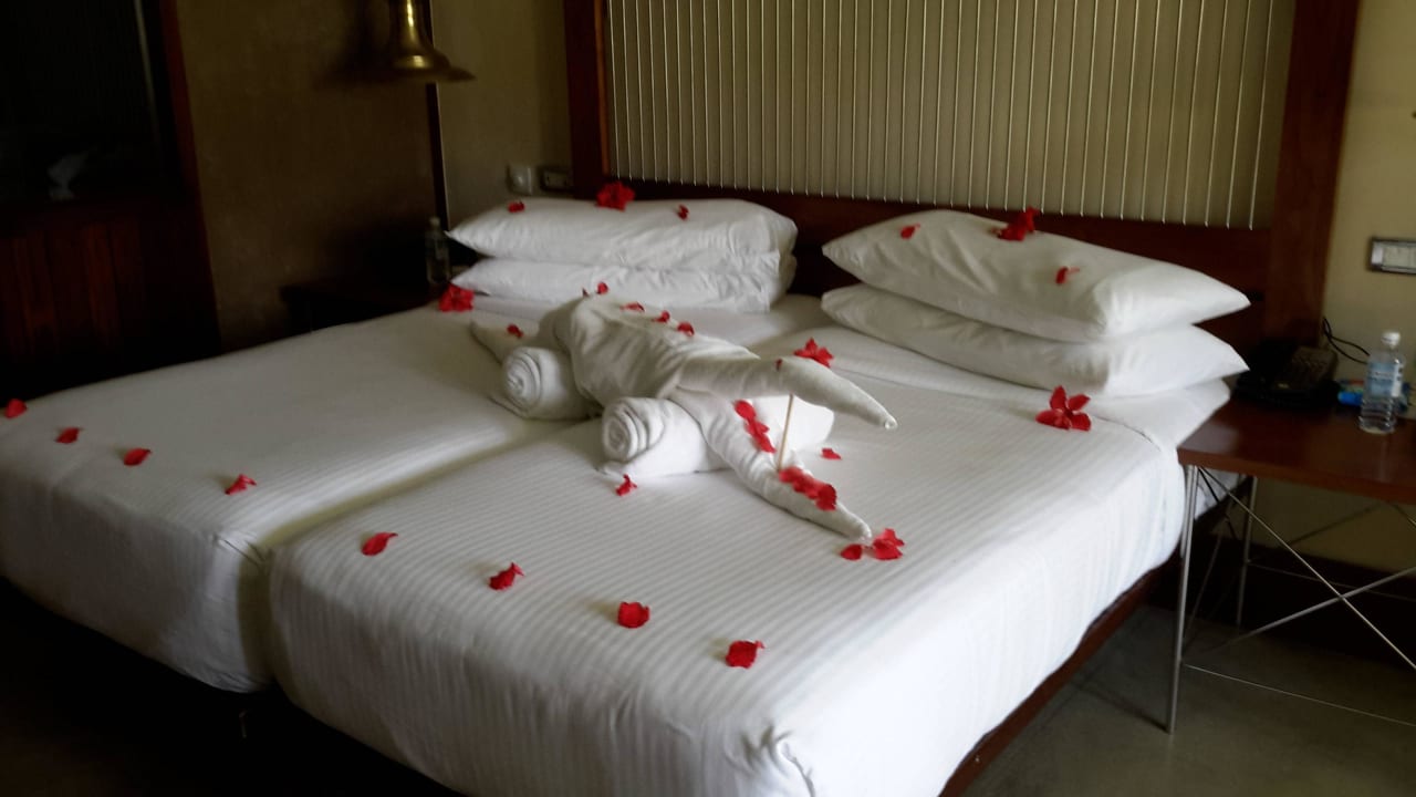 Zimmer  Heritance Ahungalla