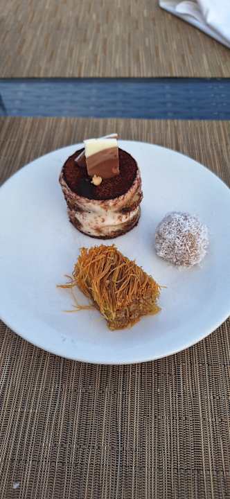 Gastro Paloma Oceana