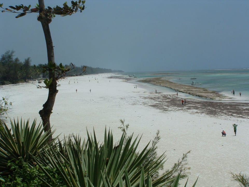 Strand vom Hotel aus Baobab Beach Resort & Spa